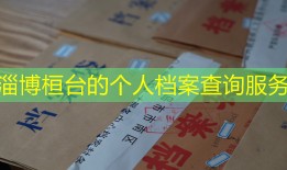 淄博桓台的个人档案查询服务