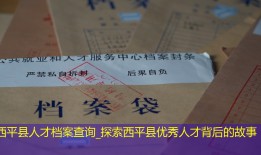 西平县人才档案查询_探索西平县优秀人才背后的故事