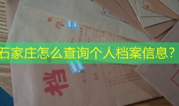 石家庄怎么查询个人档案信息？