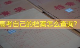高考自己的档案怎么查询？