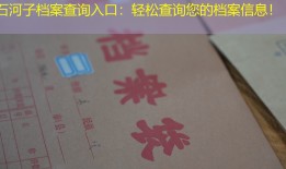 石河子档案查询入口：轻松查询您的档案信息！