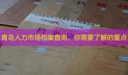 青岛人力市场档案查询，你需要了解的重点