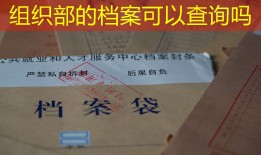 组织部的档案可以查询吗