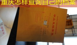 重庆怎样查询自己的档案