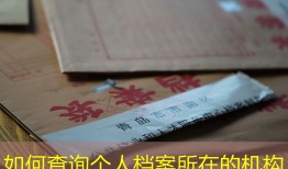 如何查询个人档案所在的机构