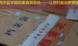 西华县学籍档案查询系统——让资料查询更便捷