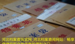 河北档案查询官网_河北档案查阅网站：畅享便捷获取文件信息的便利之门