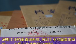 深圳工业档案查询系统_深圳工业档案查询系统——实现工业档案轻松查询！