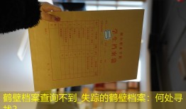 鹤壁档案查询不到_失踪的鹤壁档案：何处寻找？