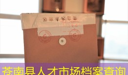 苍南县人才市场档案查询