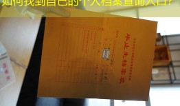如何找到自己的个人档案查询入口？