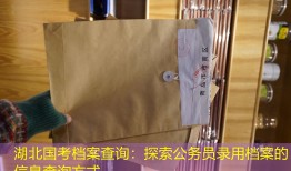 湖北国考档案查询：探索公务员录用档案的信息查询方式