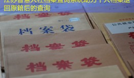 江苏智慧人社档案查询系统助力个人档案退回原籍后的查询