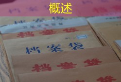 概述