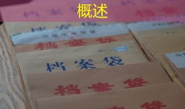 概述