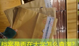 档案是否在大学怎么查询？