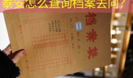 泰安怎么查询档案去向？
