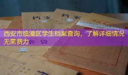 西安市临潼区学生档案查询，了解详细情况无需费力