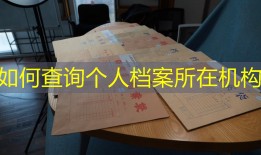 如何查询个人档案所在机构