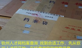 钦州人才网档案查询_找到合适工作，先从钦州人才网开始：在线查询您的档案信息。