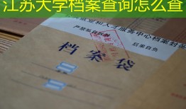 江苏大学档案查询怎么查