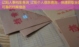 辽阳人事档案查询_辽阳个人信息查询：快速获取全面可靠的档案信息