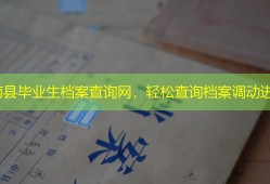 阜南县毕业生档案查询网，轻松查询档案调动进度