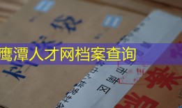 鹰潭人才网档案查询