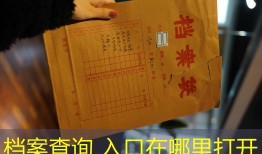 档案查询 入口在哪里打开