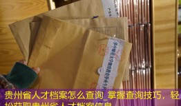 贵州省人才档案怎么查询_掌握查询技巧，轻松获取贵州省人才档案信息