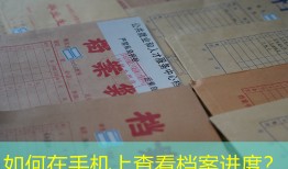 如何在手机上查看档案进度？
