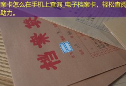 档案卡怎么在手机上查询_电子档案卡，轻松查阅，手机助力。