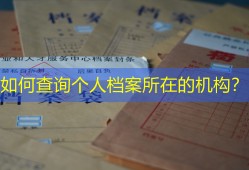 如何查询个人档案所在的机构？