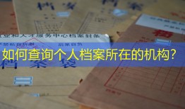 如何查询个人档案所在的机构？