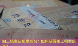 职工档案在哪里查询？如何获得职工档案信息？