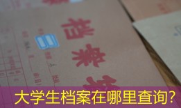 大学生档案在哪里查询？