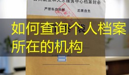 如何查询个人档案所在的机构
