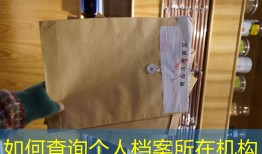 如何查询个人档案所在机构