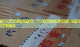 赣州人力资源档案查询：个人档案退回原籍后如何查询的完整指南
