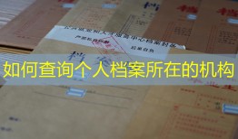 如何查询个人档案所在的机构