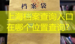 上海档案查询入口在哪个位置查询？