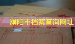 濮阳市档案查询网址