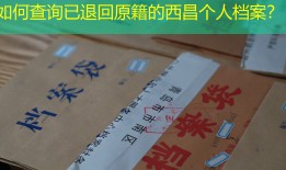 如何查询已退回原籍的西昌个人档案？