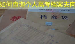 如何查询个人高考档案去向