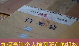 如何查询个人档案所在的机构