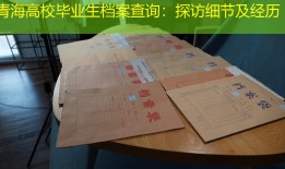青海高校毕业生档案查询：探访细节及经历