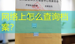 网络上怎么查询档案？
