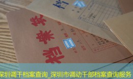 深圳调干档案查询_深圳市调动干部档案查询服务