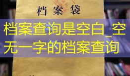 档案查询是空白_空无一字的档案查询