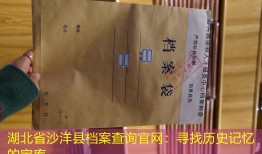 湖北省沙洋县档案查询官网：寻找历史记忆的宝库